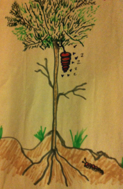tree with hive J